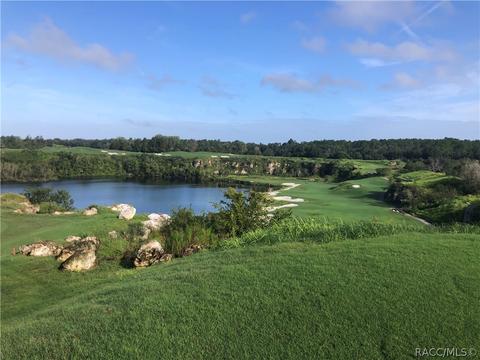 3786 W Augusta Path, Lecanto, FL 34461 photo 50