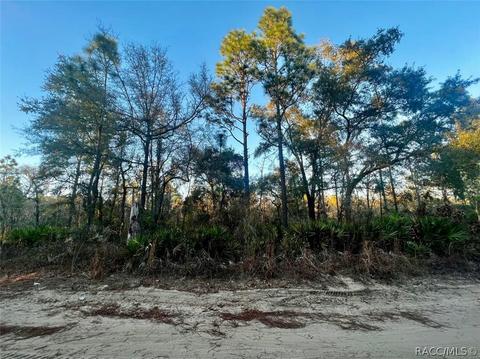 7115 W Hodges Ln, Crystal River, FL 34428