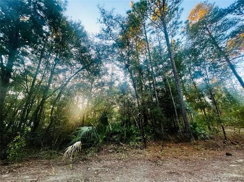 4983 N Sandpebble Pt, Crystal River, FL 34428