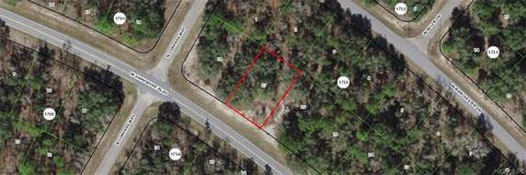 1533 W Hampshire Blvd, Citrus Springs, FL 34434