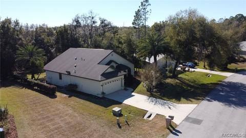 3480 N Chandler Dr, Hernando, FL 34442 photo 50