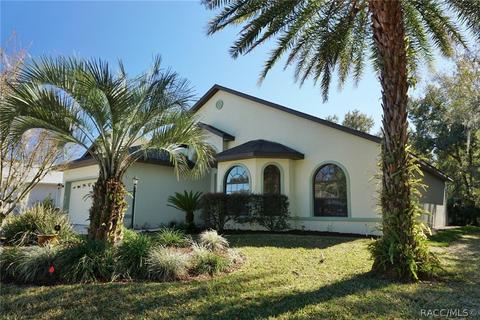 3480 N Chandler Dr, Hernando, FL 34442 photo 4