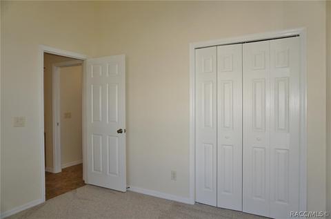 3480 N Chandler Dr, Hernando, FL 34442 photo 27