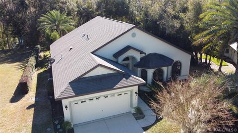 3480 N Chandler Dr, Hernando, FL 34442 photo 3
