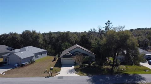 3480 N Chandler Dr, Hernando, FL 34442 photo 49