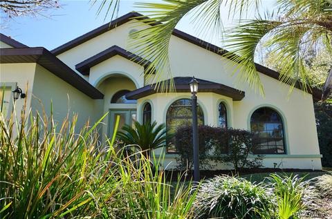 3480 N Chandler Dr, Hernando, FL 34442 photo 5