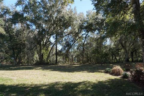3480 N Chandler Dr, Hernando, FL 34442 photo 47
