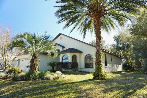 3480 N Chandler Dr, Hernando, FL 34442 photo 1