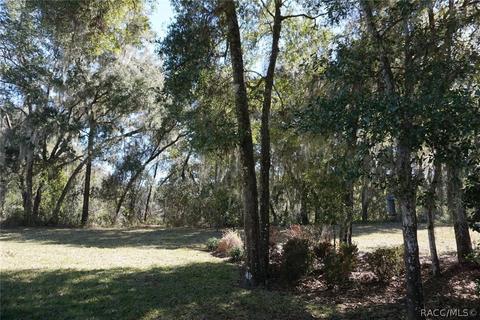 3480 N Chandler Dr, Hernando, FL 34442 photo 45