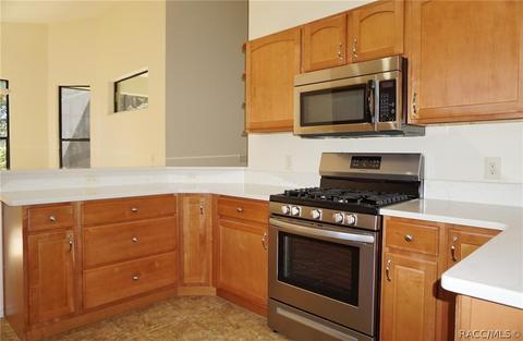 3480 N Chandler Dr, Hernando, FL 34442 photo 16