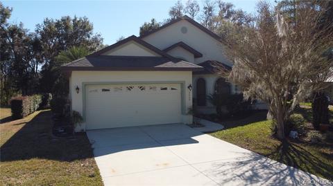 3480 N Chandler Dr, Hernando, FL 34442 photo 52