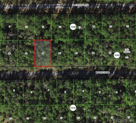 9255 N Patch Dr, Citrus Springs, FL 34434