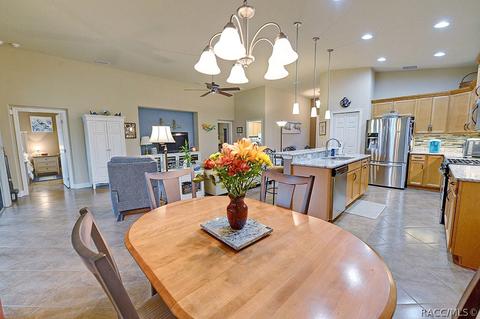 1675 W Caroline Path, Lecanto, FL 34461 photo 18