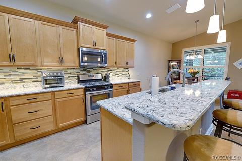 1675 W Caroline Path, Lecanto, FL 34461 photo 15