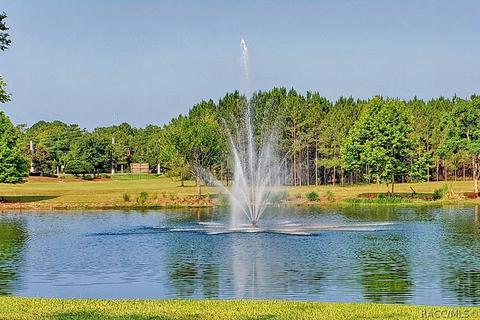 1675 W Caroline Path, Lecanto, FL 34461 photo 40