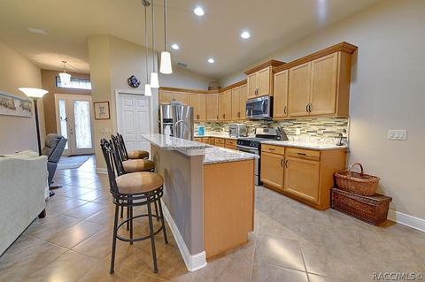 1675 W Caroline Path, Lecanto, FL 34461 photo 11