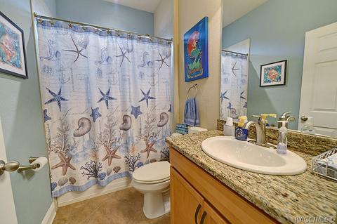 1675 W Caroline Path, Lecanto, FL 34461 photo 31
