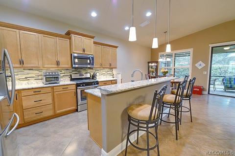 1675 W Caroline Path, Lecanto, FL 34461 photo 13