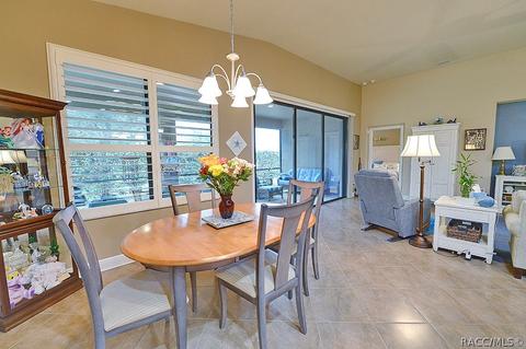 1675 W Caroline Path, Lecanto, FL 34461 photo 19