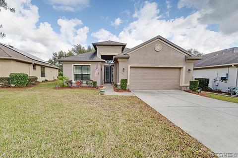 1675 W Caroline Path, Lecanto, FL 34461 photo 1