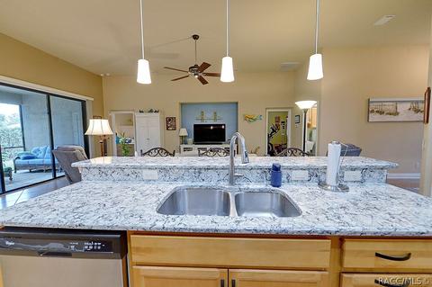 1675 W Caroline Path, Lecanto, FL 34461 photo 16