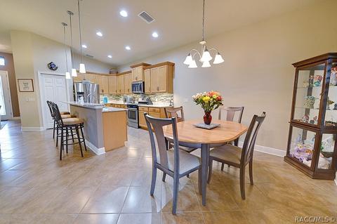1675 W Caroline Path, Lecanto, FL 34461 photo 17
