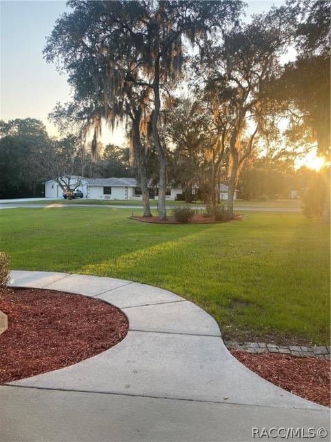 243 E Buckingham Dr, Lecanto, FL 34461 photo 50