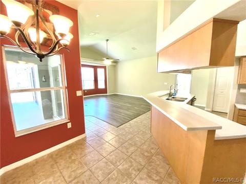 243 E Buckingham Dr, Lecanto, FL 34461 photo 13