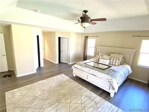 243 E Buckingham Dr, Lecanto, FL 34461 photo 23