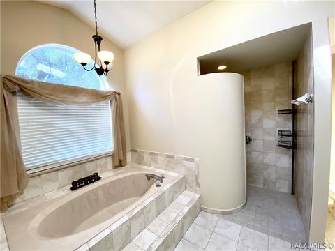 243 E Buckingham Dr, Lecanto, FL 34461 photo 27