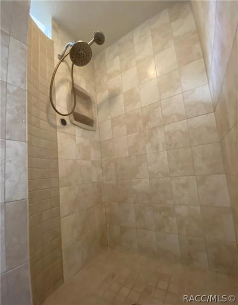 243 E Buckingham Dr, Lecanto, FL 34461 photo 28