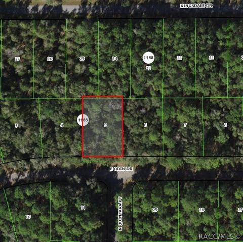 1135 E Odin Dr, Citrus Springs, FL 34434