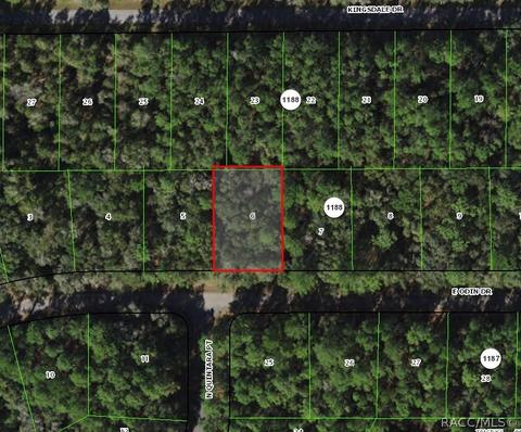 1163 E Odin Dr, Citrus Springs, FL 34434