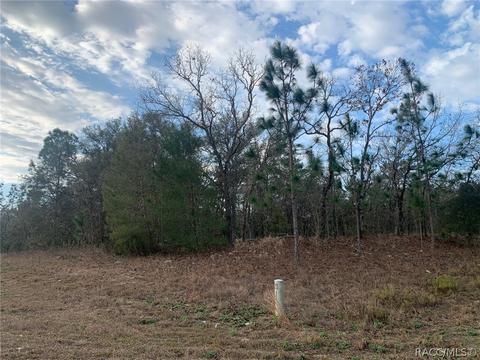 2662 W Fillmore St, Citrus Springs, FL 34433