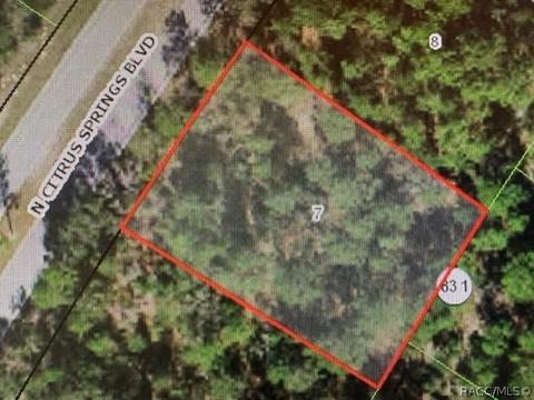 8505 N Citrus Springs Blvd, Citrus Springs, FL 34433