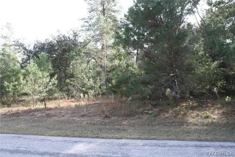 1734 E Tradewind Dr, Hernando, FL 34442 photo 1