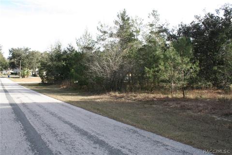 1734 E Tradewind Dr, Hernando, FL 34442 photo 3