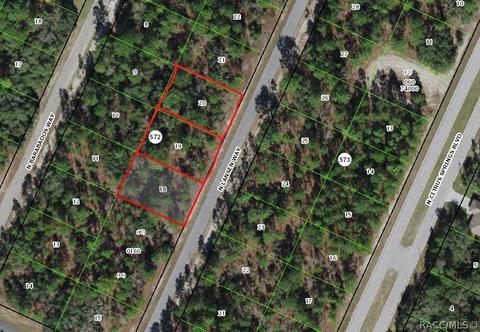 3 Lots N Lansen Way, Citrus Springs, FL 34433