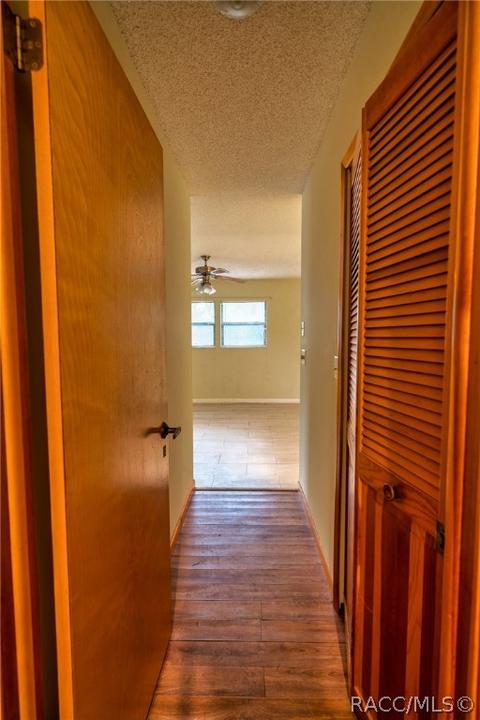 4101 E Gloria Dr, Hernando, FL 34442 photo 17