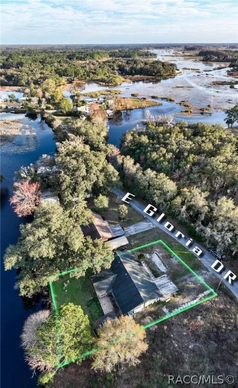 4101 E Gloria Dr, Hernando, FL 34442 photo 3