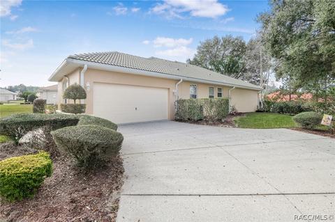 952 W Skyview Crossing Dr, Hernando, FL 34442 photo 42