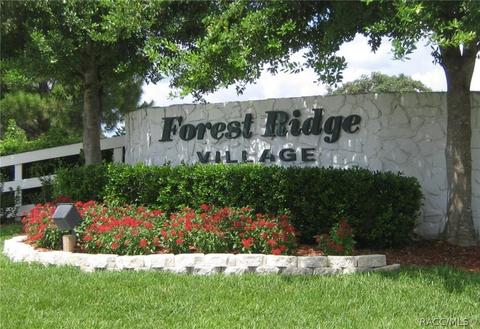 689 W Sunbird Path, Hernando, FL 34442 photo 39