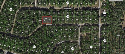 1642 E Derby Dr, Citrus Springs, FL 34434