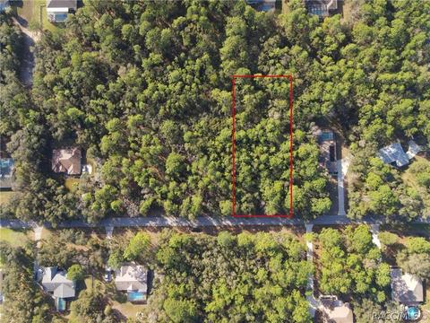 1402 W Redding St, Hernando, FL 34442