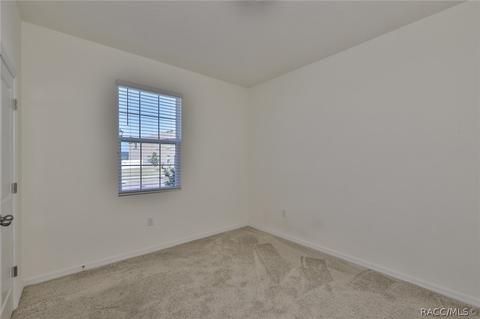 11919 Brighton Knoll Loop, Riverview, FL 33579 photo 10