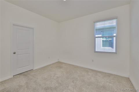 11919 Brighton Knoll Loop, Riverview, FL 33579 photo 15