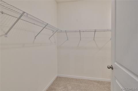 11919 Brighton Knoll Loop, Riverview, FL 33579 photo 34