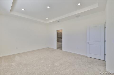 11919 Brighton Knoll Loop, Riverview, FL 33579 photo 35