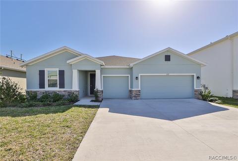 11919 Brighton Knoll Loop, Riverview, FL 33579 photo 1