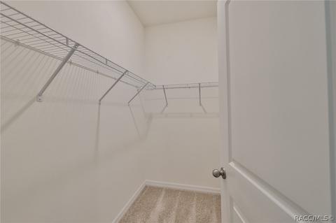 11919 Brighton Knoll Loop, Riverview, FL 33579 photo 24